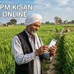 Check Pm Kisan Status